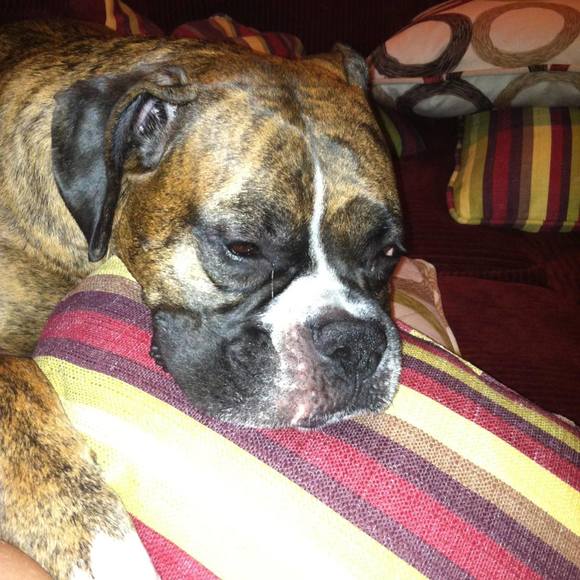 Meet your Posher, Drew - Picture 1 of 1